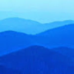 Meet your Posher, Fran j